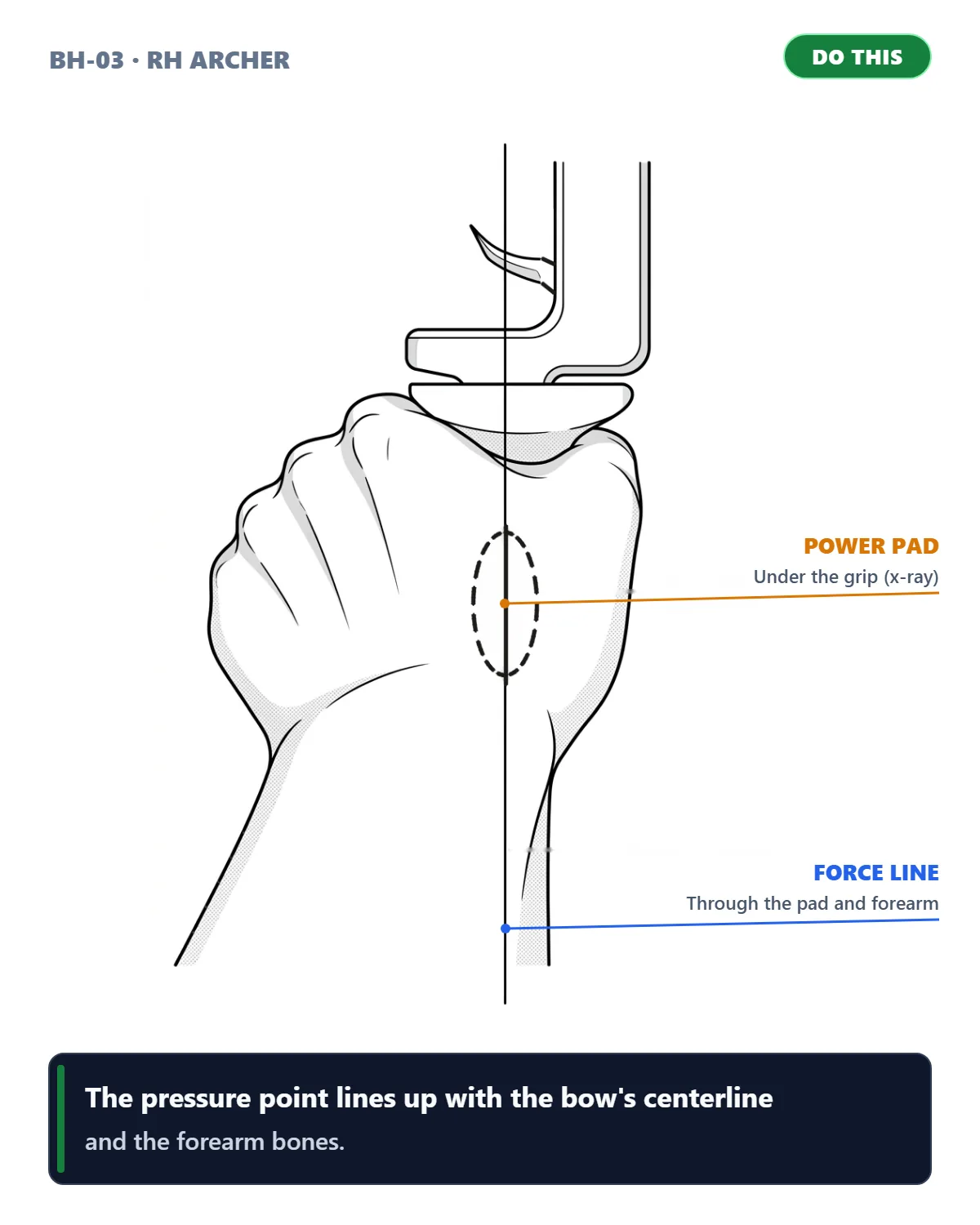 Rear View & Forearm Bone Axis (right-handed archer)