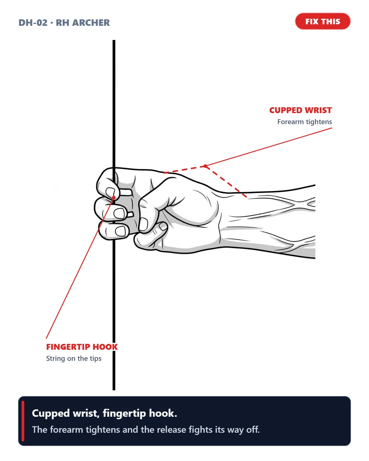 Cupped Wrist & Fingertip Hook (right-handed archer)